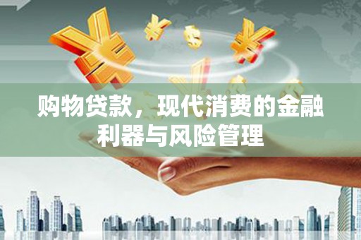 陆丰购物贷款，现代消费的金融利器与风险管理