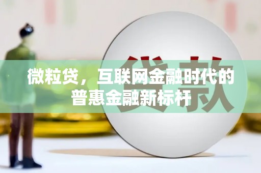 陆丰微粒贷，互联网金融时代的普惠金融新标杆