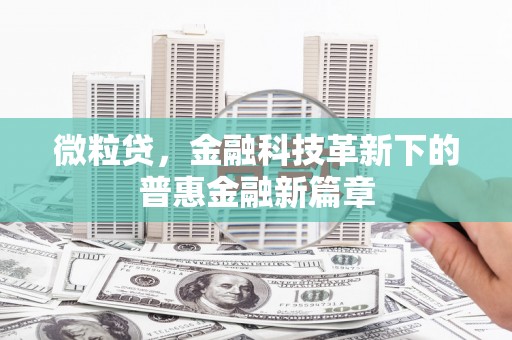 陆丰微粒贷，金融科技革新下的普惠金融新篇章
