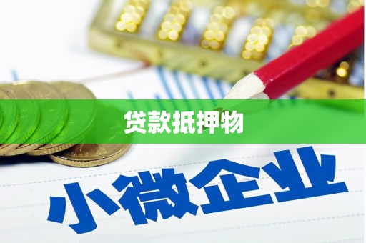 陆丰贷款抵押物