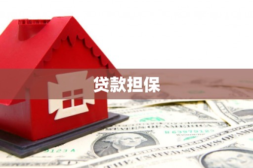 陆丰贷款担保