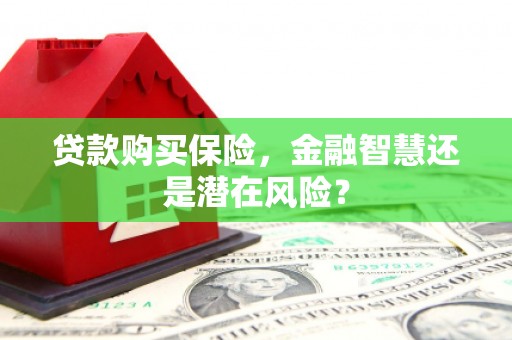 陆丰贷款购买保险，金融智慧还是潜在风险？