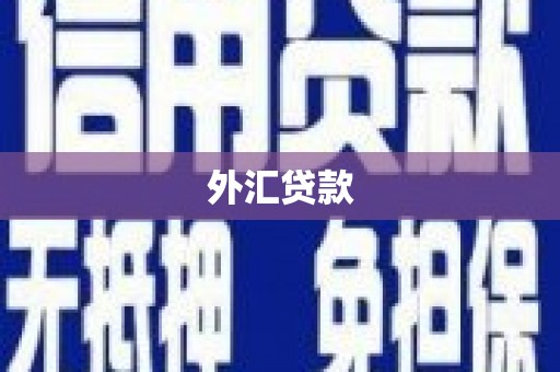 陆丰外汇贷款