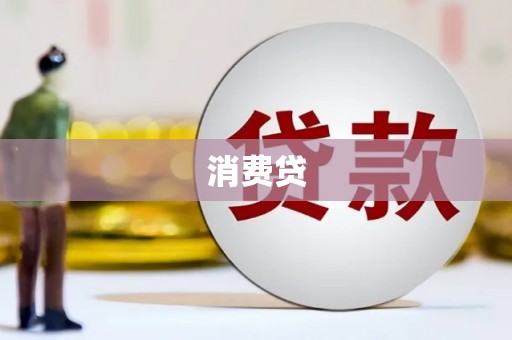 陆丰消费贷
