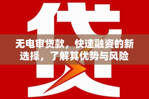 陆丰无电审贷款，快速融资的新选择，了解其优势与风险