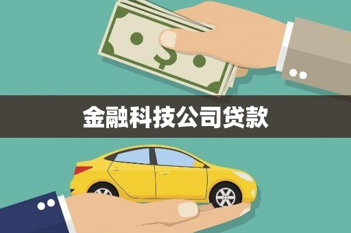 陆丰金融科技公司贷款