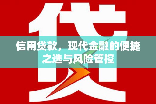 陆丰信用贷款，现代金融的便捷之选与风险管控