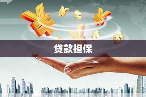 陆丰贷款担保