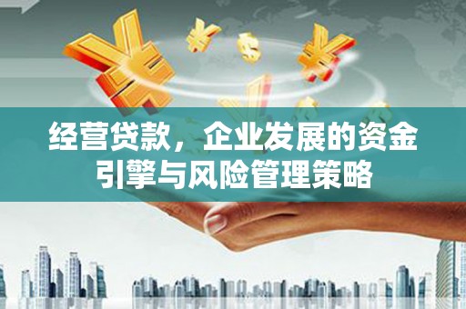 陆丰经营贷款，企业发展的资金引擎与风险管理策略