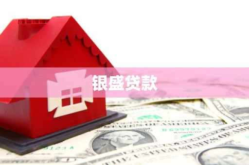 陆丰银盛贷款