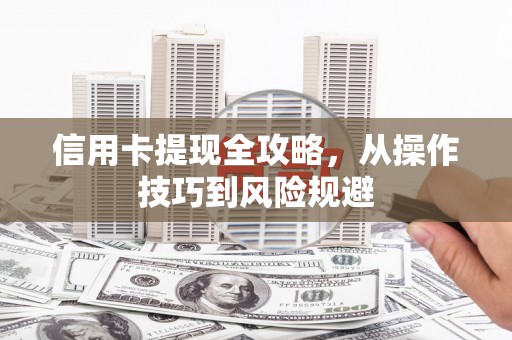 陆丰信用卡提现全攻略，从操作技巧到风险规避