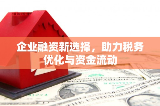 陆丰企业融资新选择，助力税务优化与资金流动
