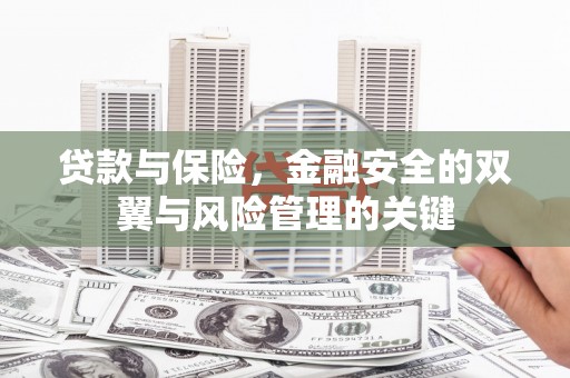 陆丰贷款与保险，金融安全的双翼与风险管理的关键