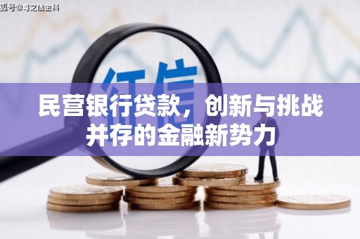 陆丰民营银行贷款，创新与挑战并存的金融新势力