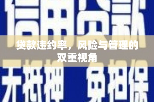 陆丰贷款违约率，风险与管理的双重视角