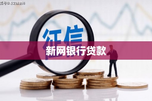 陆丰新网银行贷款