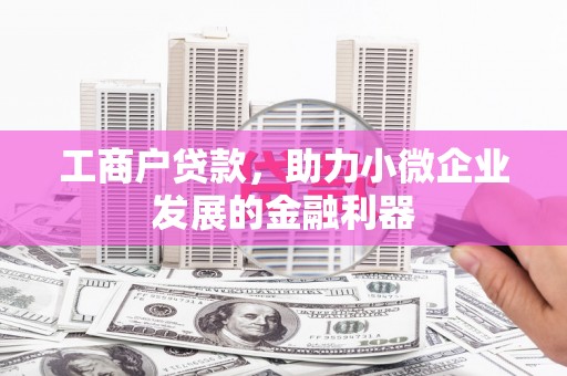 陆丰工商户贷款，助力小微企业发展的金融利器