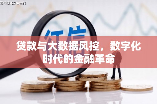 陆丰贷款与大数据风控，数字化时代的金融革命