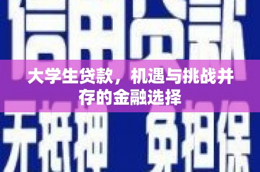 陆丰大学生贷款，机遇与挑战并存的金融选择
