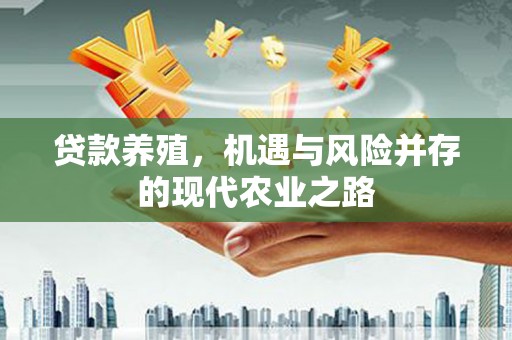 陆丰贷款养殖，机遇与风险并存的现代农业之路