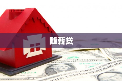 陆丰随薪贷