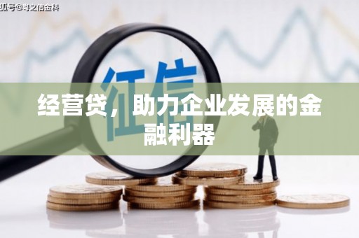 陆丰经营贷，助力企业发展的金融利器