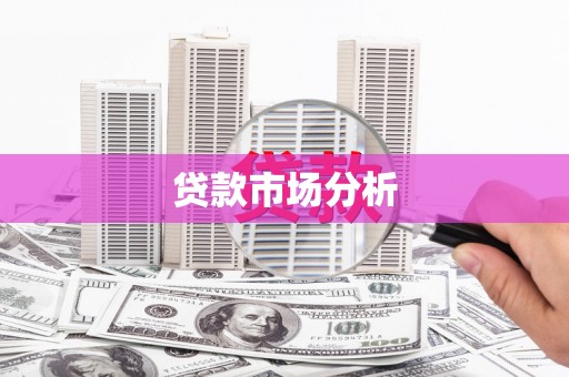 陆丰贷款市场分析