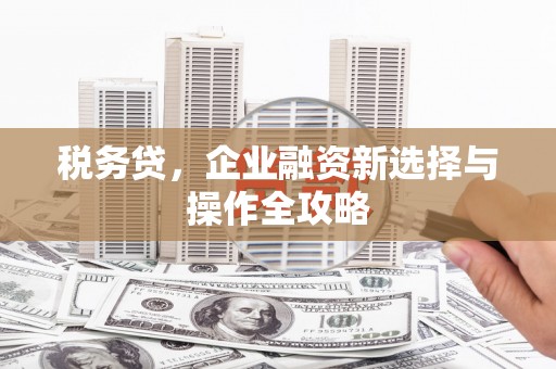 陆丰税务贷，企业融资新选择与操作全攻略