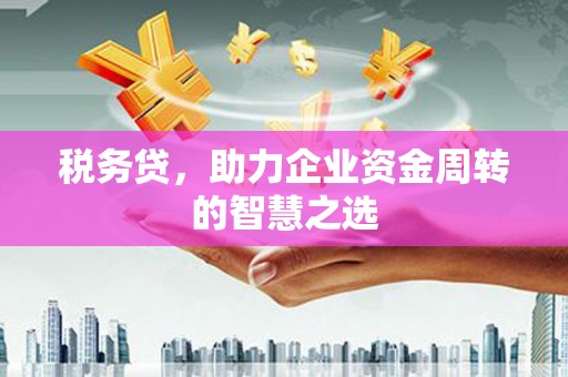陆丰税务贷，助力企业资金周转的智慧之选