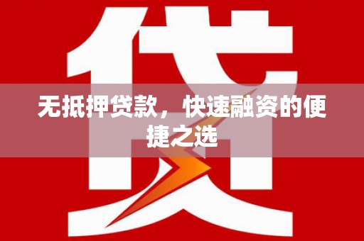 陆丰无抵押贷款，快速融资的便捷之选