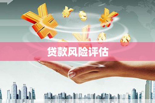 陆丰贷款风险评估
