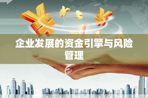 陆丰企业发展的资金引擎与风险管理