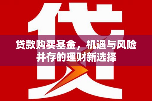 陆丰贷款购买基金，机遇与风险并存的理财新选择