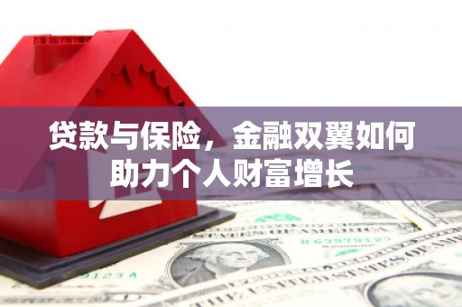 陆丰贷款与保险，金融双翼如何助力个人财富增长
