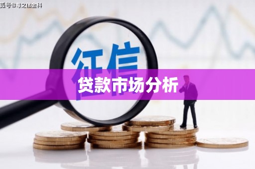 陆丰贷款市场分析