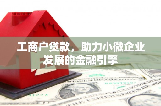陆丰工商户贷款，助力小微企业发展的金融引擎