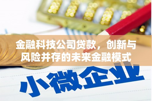 陆丰金融科技公司贷款，创新与风险并存的未来金融模式