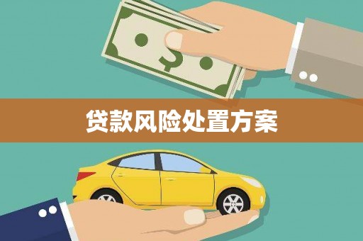 陆丰贷款风险处置方案