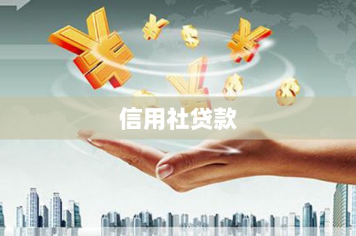陆丰信用社贷款