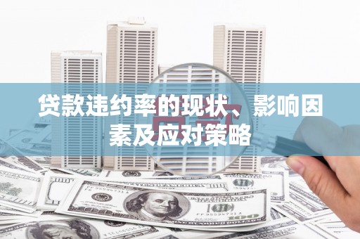 陆丰贷款违约率的现状、影响因素及应对策略