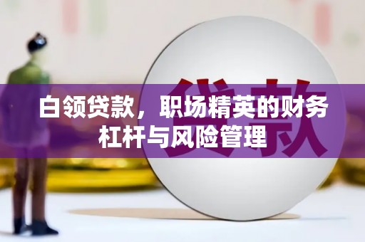 陆丰白领贷款，职场精英的财务杠杆与风险管理