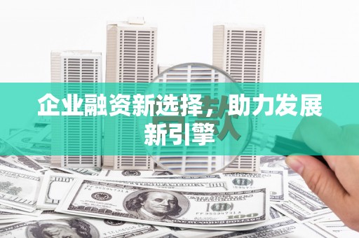 陆丰企业融资新选择，助力发展新引擎