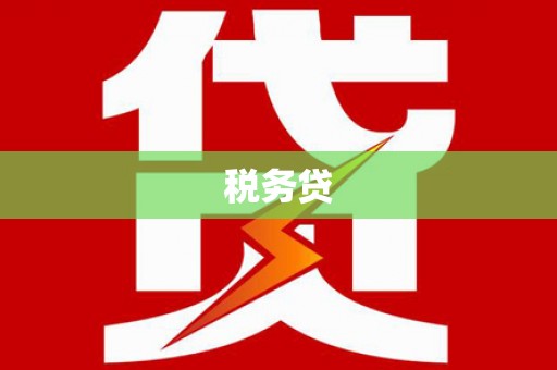 陆丰税务贷