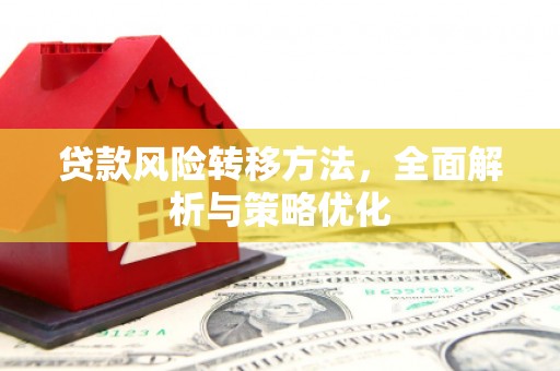 陆丰贷款风险转移方法，全面解析与策略优化