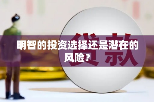 陆丰明智的投资选择还是潜在的风险？