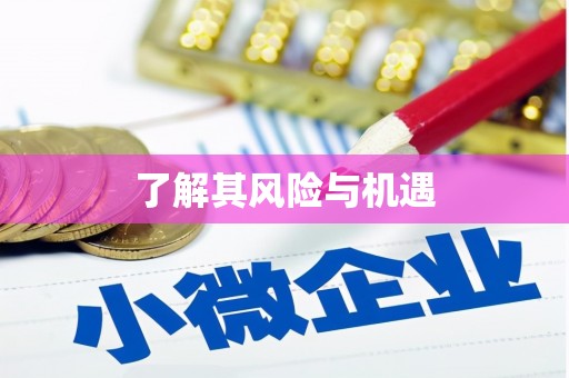 陆丰了解其风险与机遇