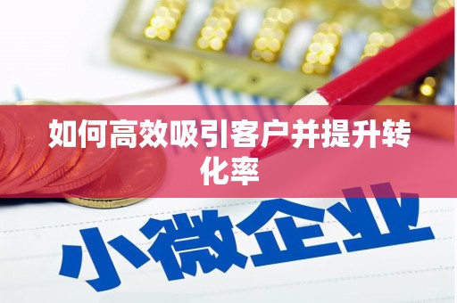 陆丰如何高效吸引客户并提升转化率