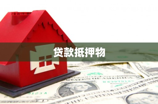 陆丰贷款抵押物