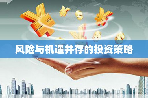 陆丰风险与机遇并存的投资策略
