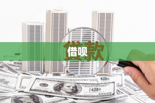 陆丰借呗